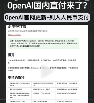 open AI����RMB ֧��