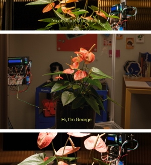 OpenAI�տ�Դ��Plant Talk����ֲ��ͨ��ChatGPT���������Ի�