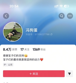ˢ��һ������IP���ģ�塣