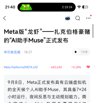 Meta�桰��Ϻ�����ˣ�