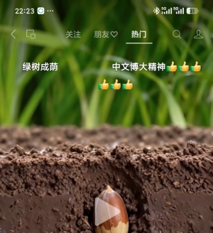 ʹ����Ƶ������Ľ��ʹ�����Ϥ�ĳ���������ܴ�
