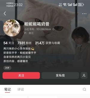 ���ʱ�䣬С���飬����AI��Ƶ�û�