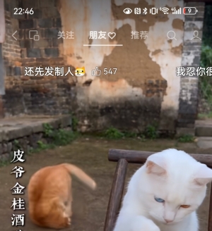 AI è���� ���ӵ�����