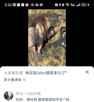 ���޷����