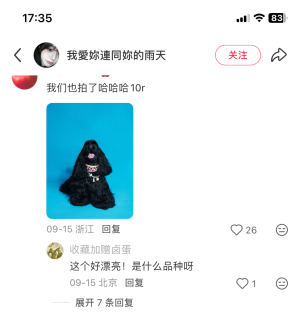 ���������̯�����ƶ���������ݣ���԰�޹��ְ������ֱ�̲���Ҫ�ļ��ţ����������