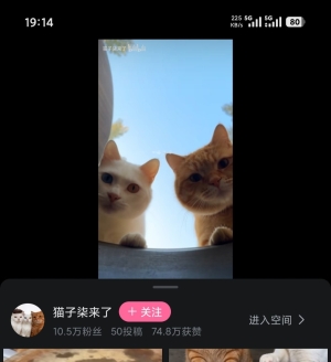 è��Ⱦ����è��Ϊ���壬�ǳ�г�������⣬����6�·ݿ�ʼ����Ƶ��������Ƶʱ�䶼����1��