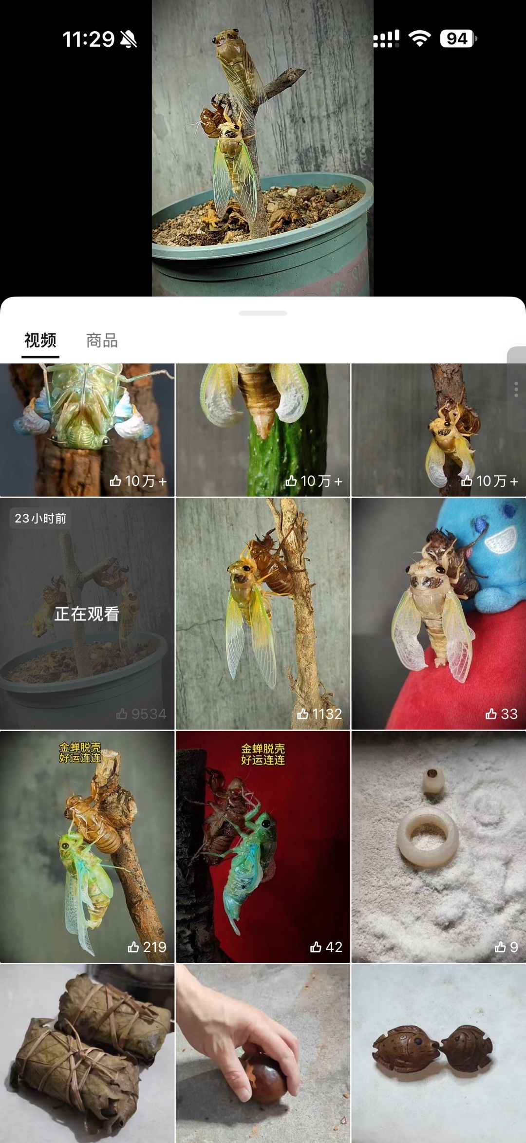 zsxq_035987117d18d5_01.jpg