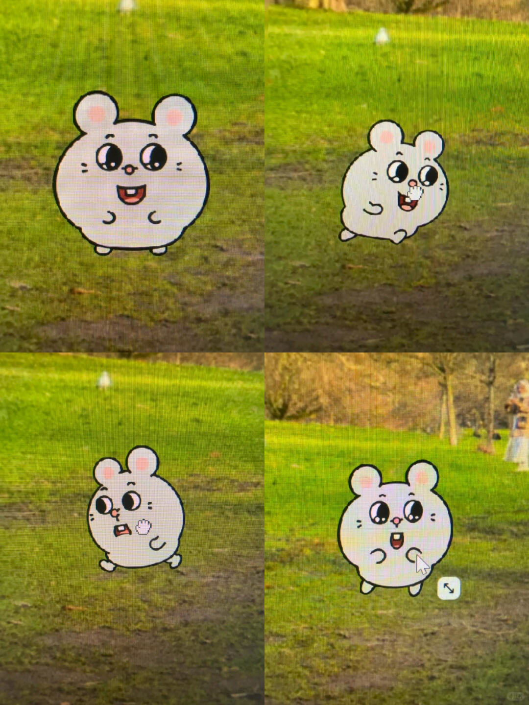 zsxq_77dffbfcd0b4f0_04.jpg