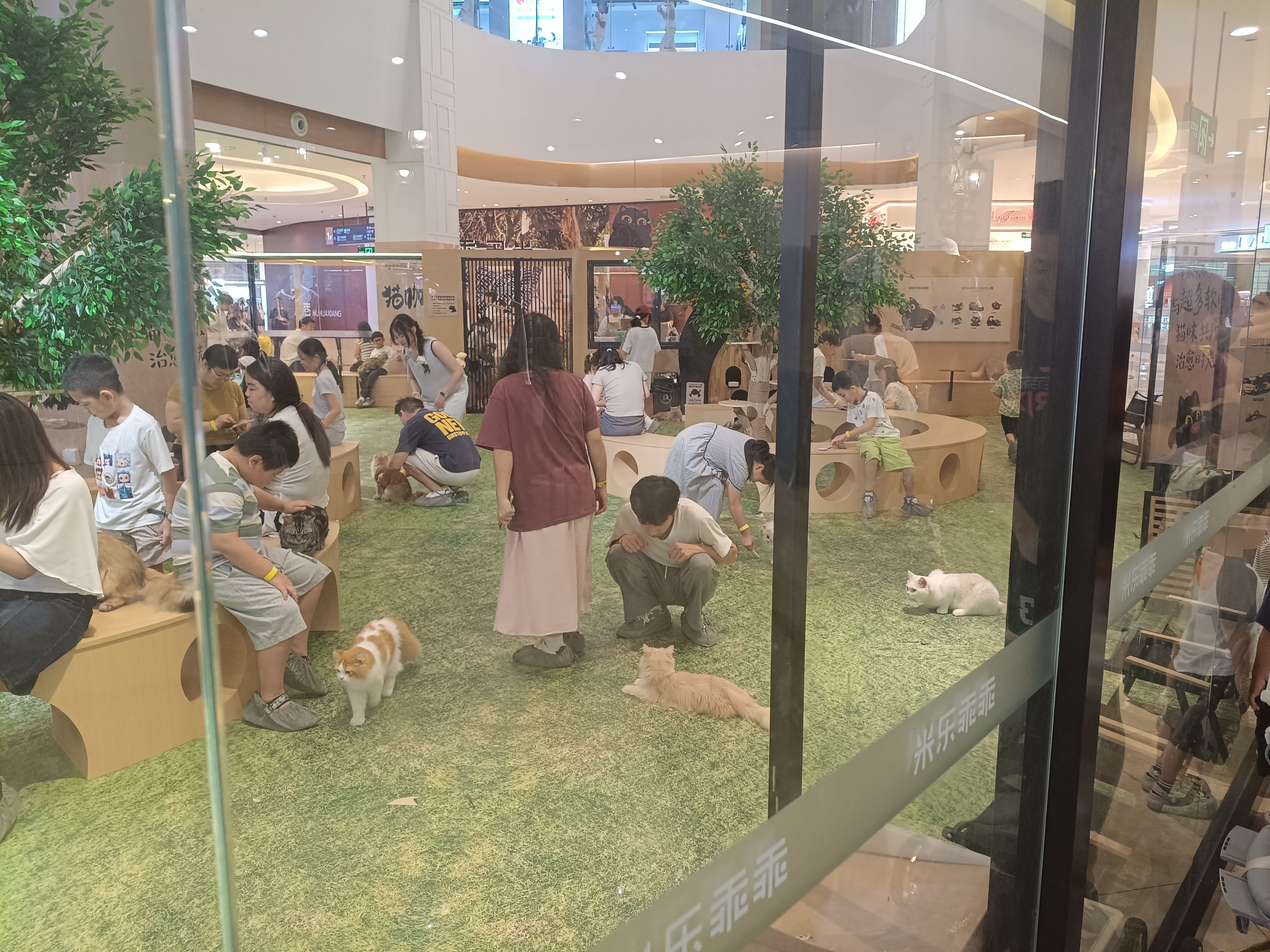 zsxq_fb58cbfc6888ec_02.forum.jpg