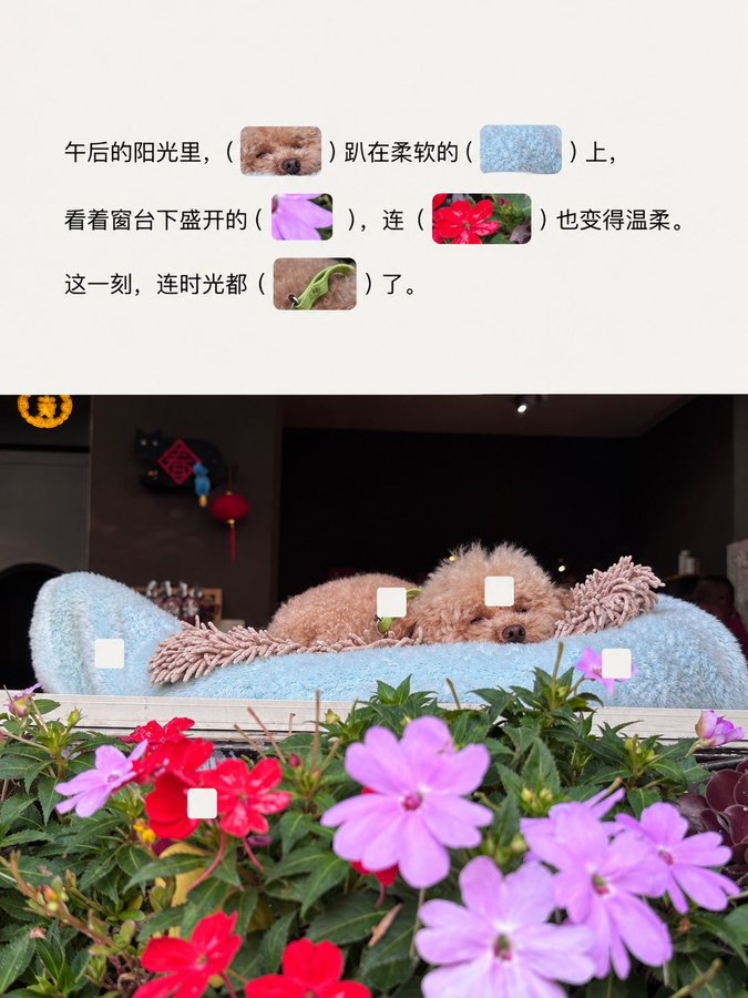 zsxq_597d5537dadb68_02.png
